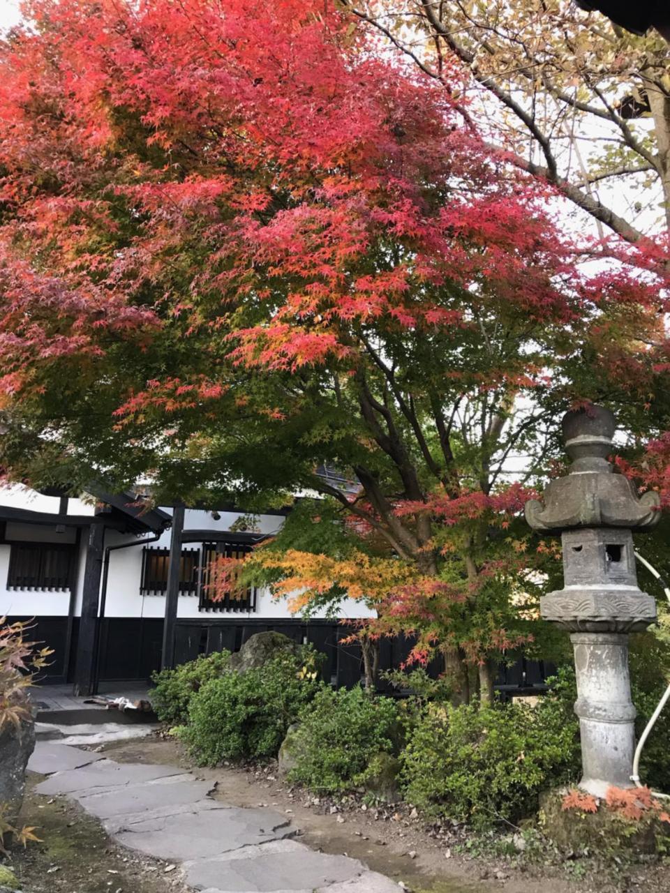 黒川 森のコテージ 南小国町 エクステリア 写真